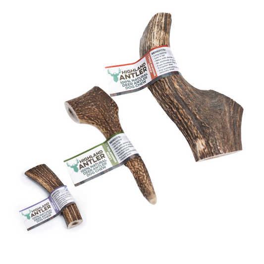 Highland Antler Deer Antler Dog Chews Available In Different Sizes