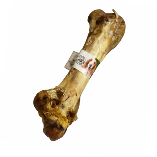Paddock Farm Giant Ostrich Dino Bone