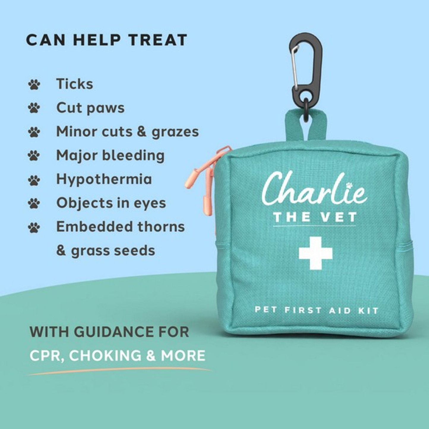 Charlie The Vet Mini Pet First Aid Kit