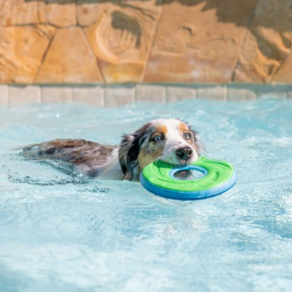 Chuckit Zipflight, Amphibious Frisbee-Style Flying Disc for Dogs, Medium 21cm
