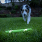 Chuckit! Ultra Fetch Stick Glow