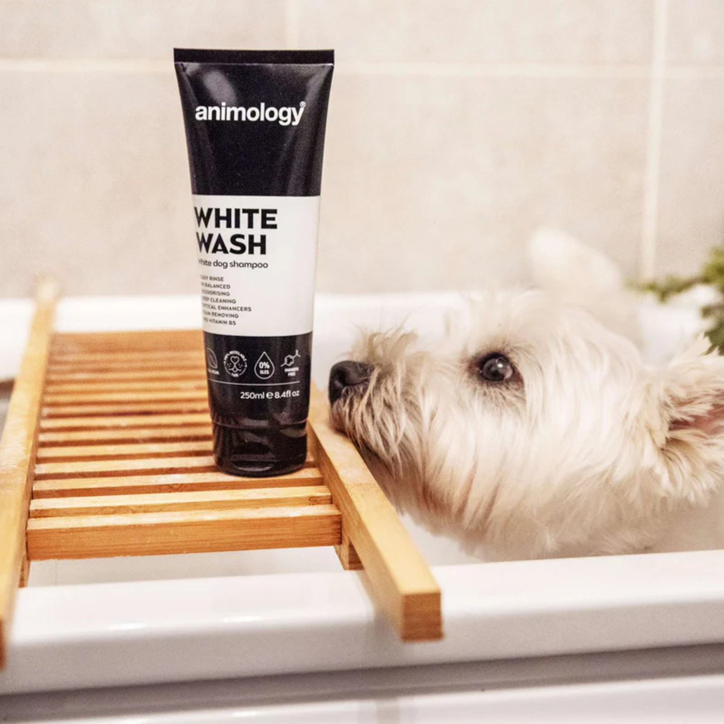 Animology White Wash Shampoo 250ml