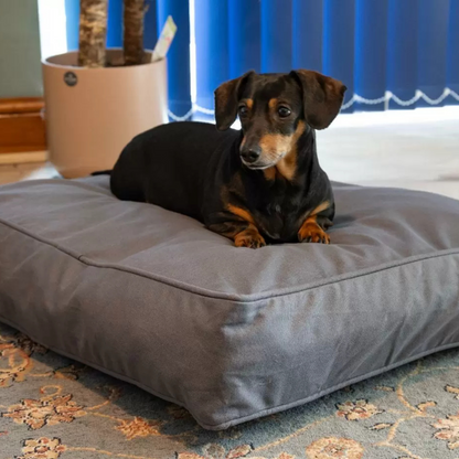 DogDoov Dog Bed, Calming Anti Anxiety Dog Bed, Available in Small, Medium & Large
