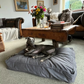 DogDoov Dog Bed, Calming Anti Anxiety Dog Bed, Available in Small, Medium & Large