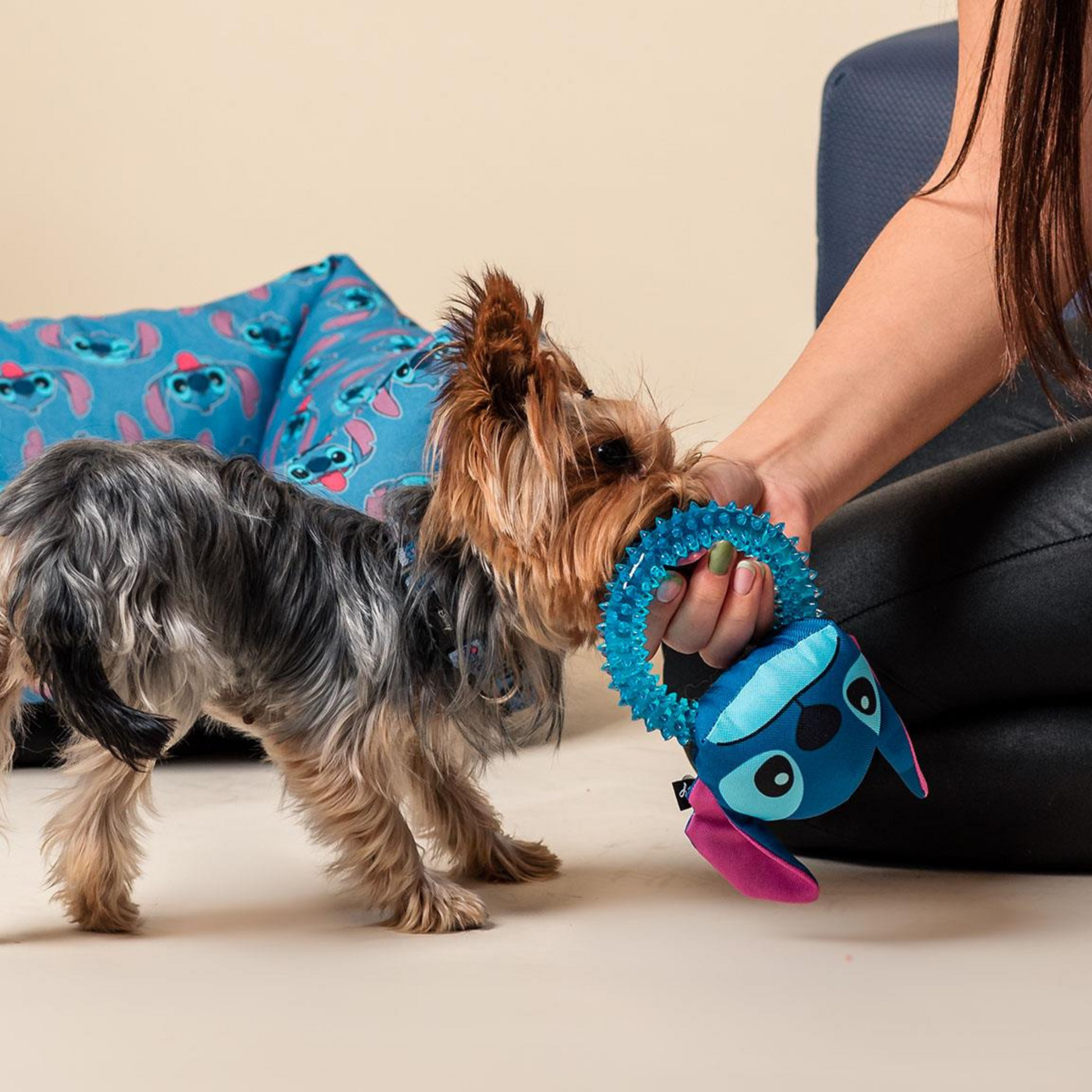Stitch Teether Dog Toy Officially Licensed By Disney muthapuppa