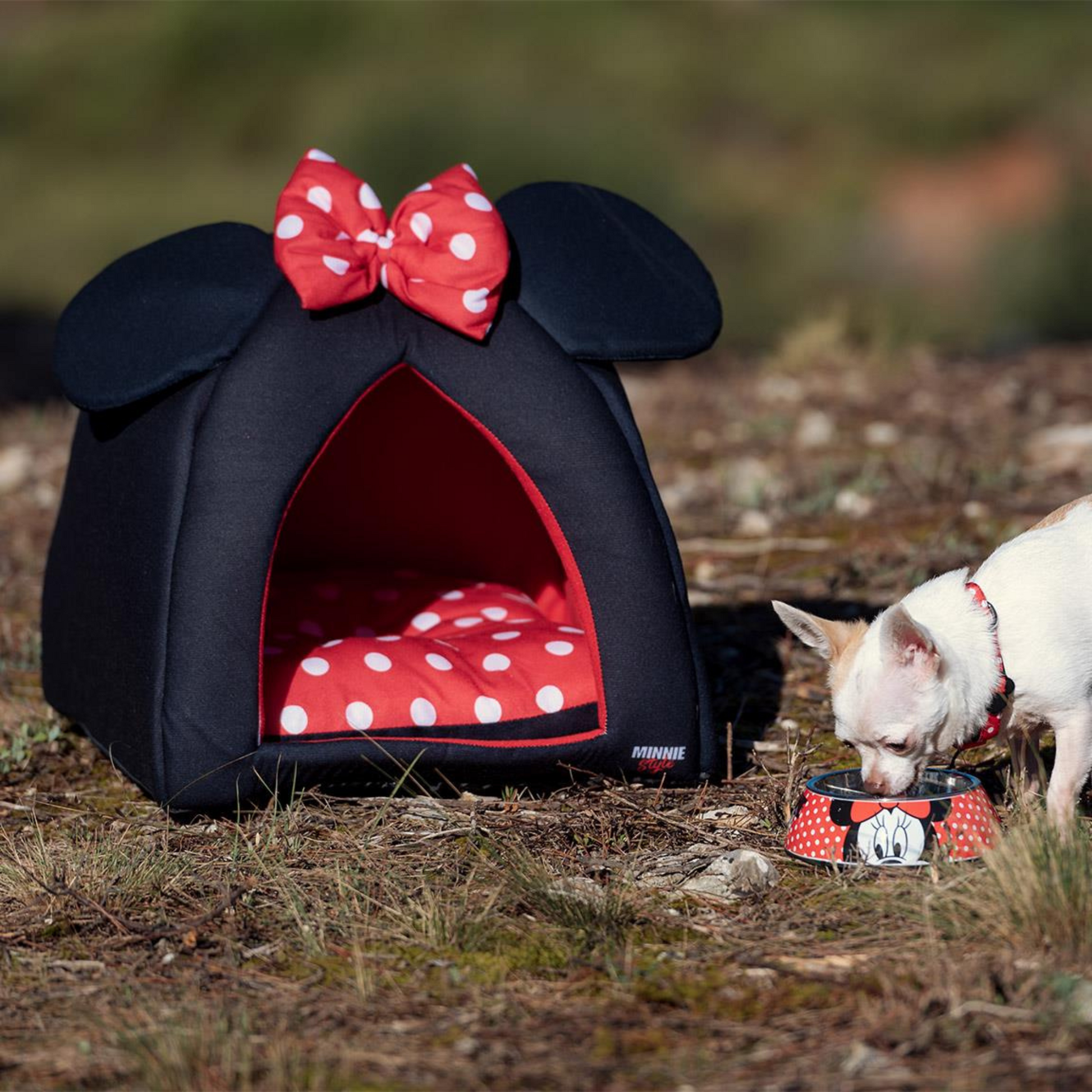 Minnie mouse dog bed petsmart hot sale