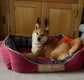 Scruffs Highland Box Dog Bed Fully Machine Washable Red Small, Medium, Large
