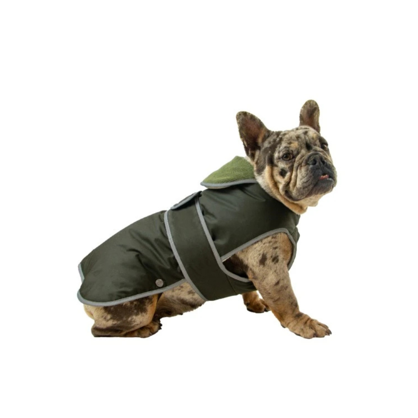 Ancol Heritage wax cotton dog coat in green