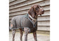 Ancol Heritage wax cotton dog coat size and fitting guide, back length and girth for sizes XS to XXL