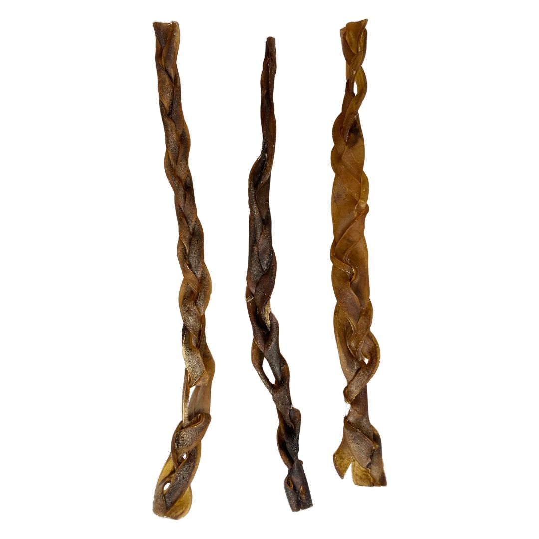 Camel Skin Braids XL 50cm, braided camel skin dog chews by Paddock Farm