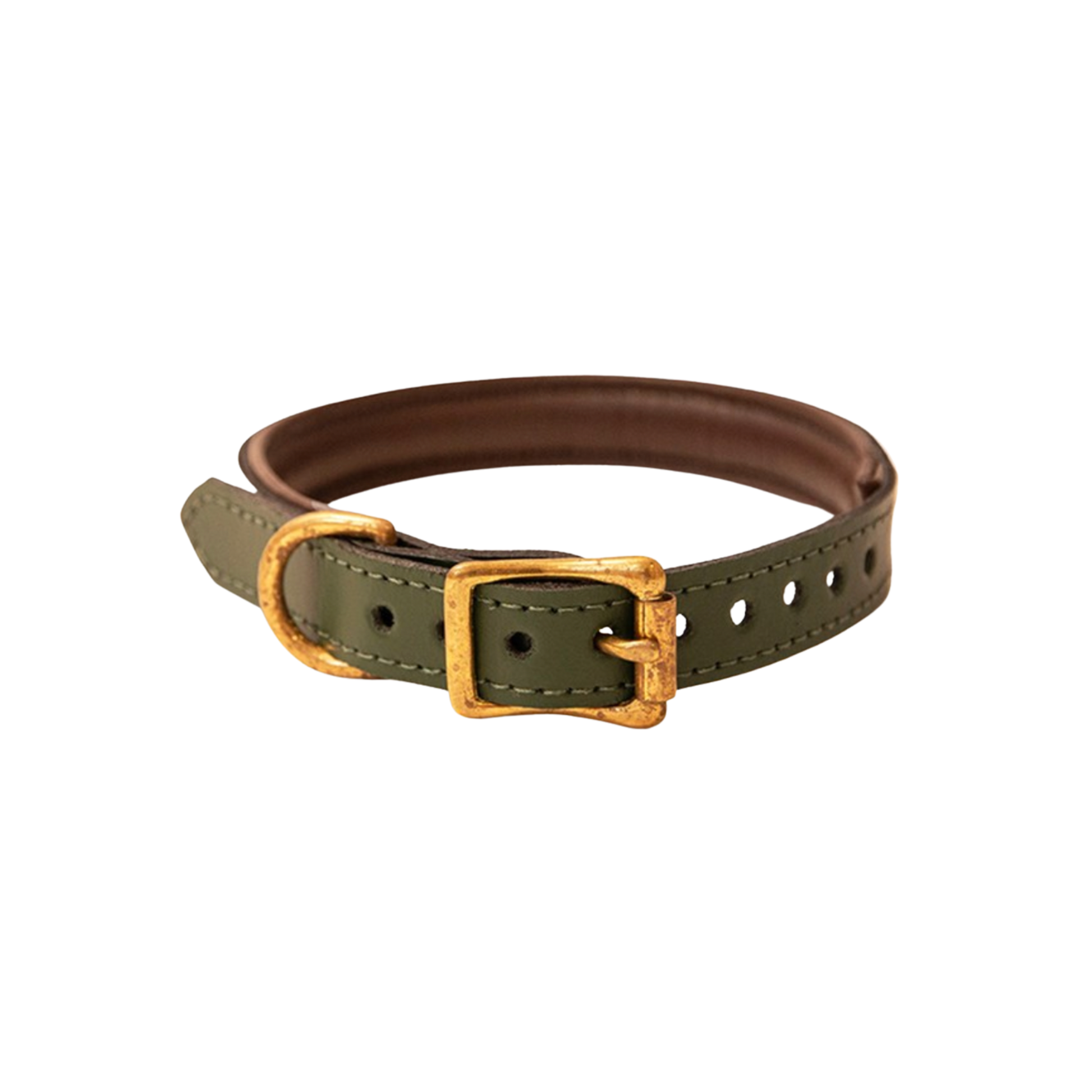 Great & Small Hawkhurst handmade forest green leather dog collar with brass buckle