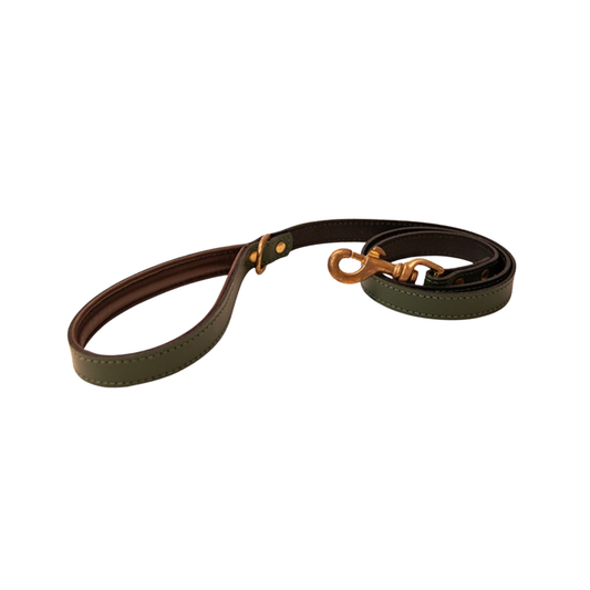 Great & Small Hawkhurst padded forest green leather dog lead with brass trigger hook
