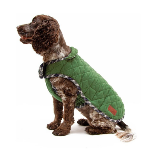Great & Small Country quilted dog coat in green with plaid trim