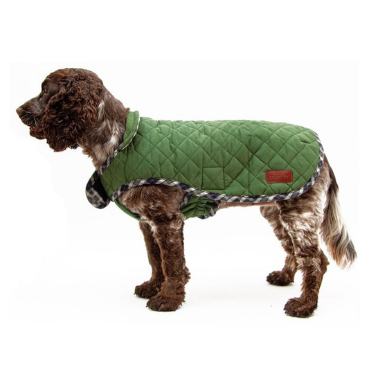 Great & Small Country quilted dog coat, green, view 2