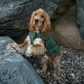 Great & Small Country quilted dog coat, green, view 3