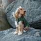 Great & Small Country quilted dog coat, green, view 4