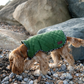 Great & Small Country quilted dog coat, green, view 5