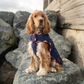 Great & Small Country quilted dog coat, navy, view 3