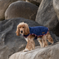 Great & Small Country quilted dog coat, navy, view 4