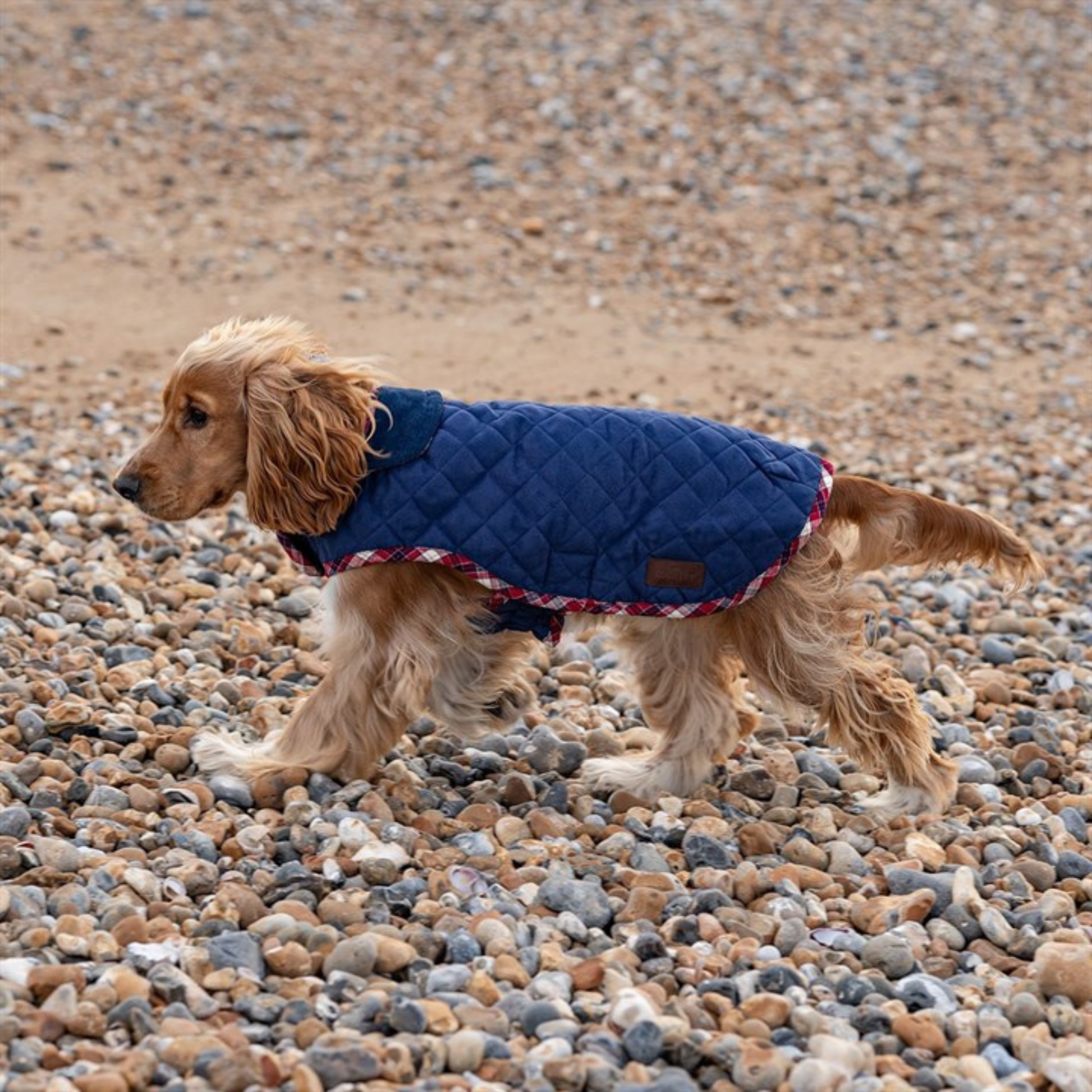 Great & Small Country quilted dog coat, navy, view 5