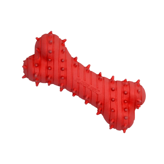 Playology beef scented puppy teething bone dog toy, large