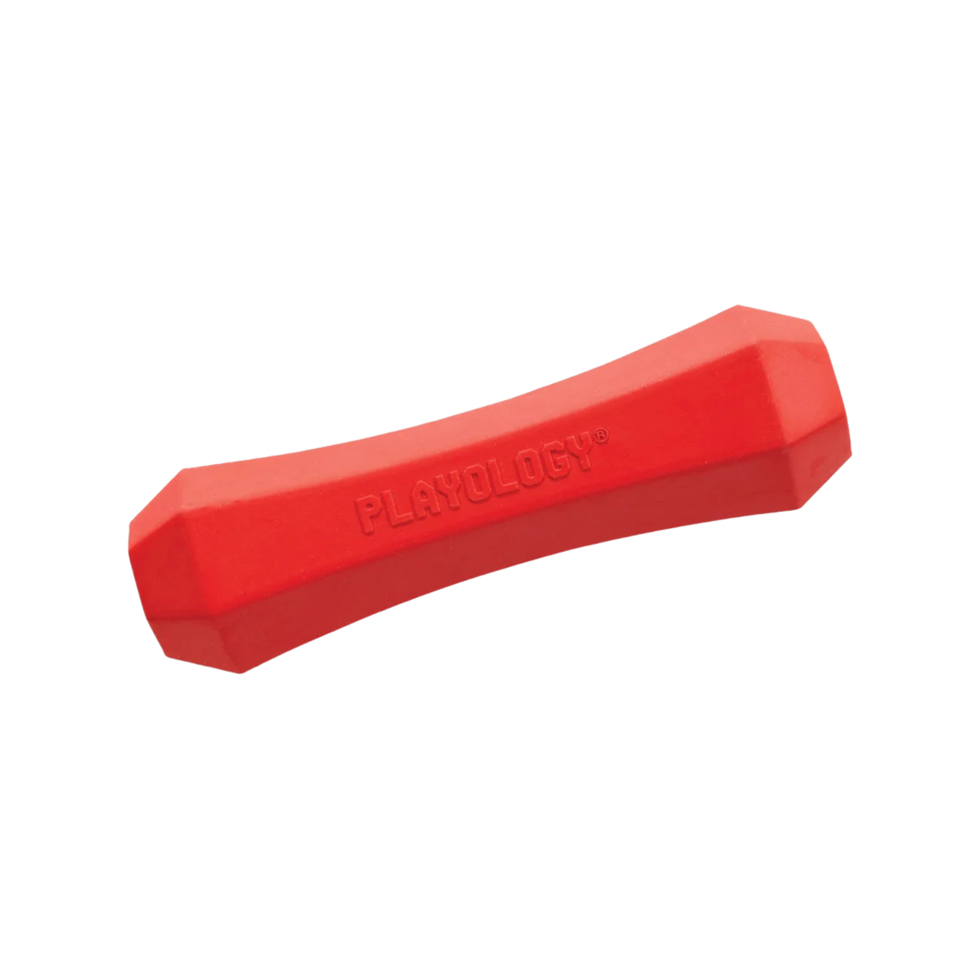 Playology beef scented squeaky chew stick dog toy, medium