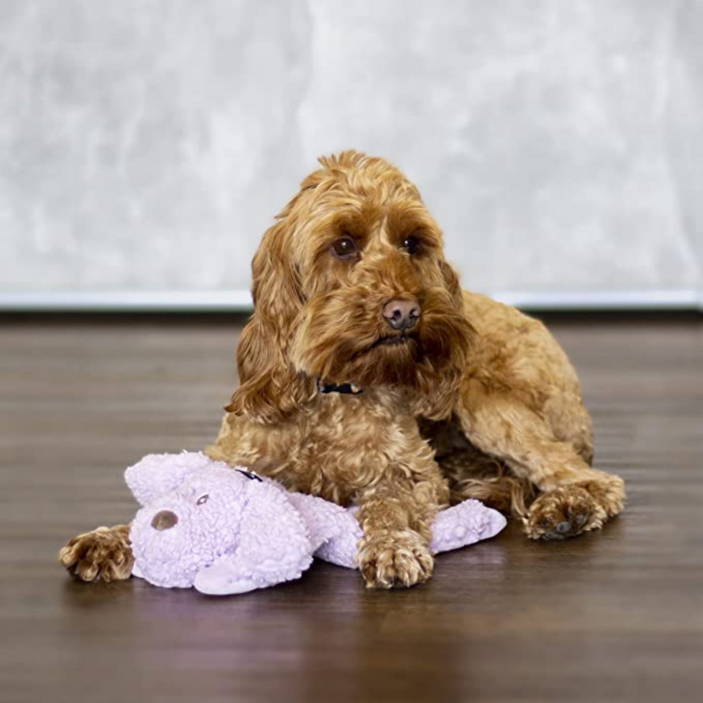 Aromadog Calming Lavender Snuggle Dog Toy