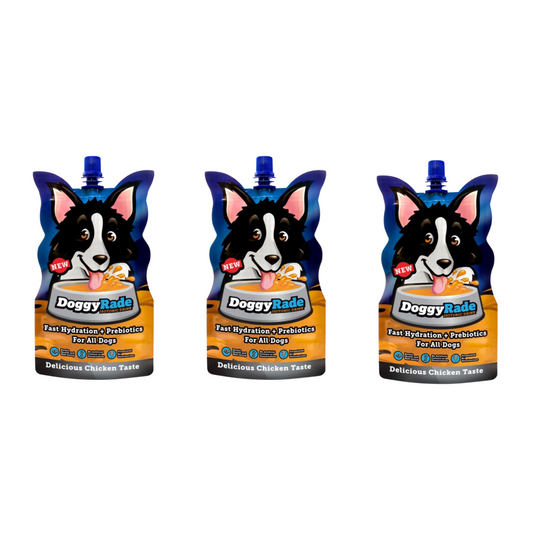 Doggyrade Isotonic Drinks For Dogs 250ml