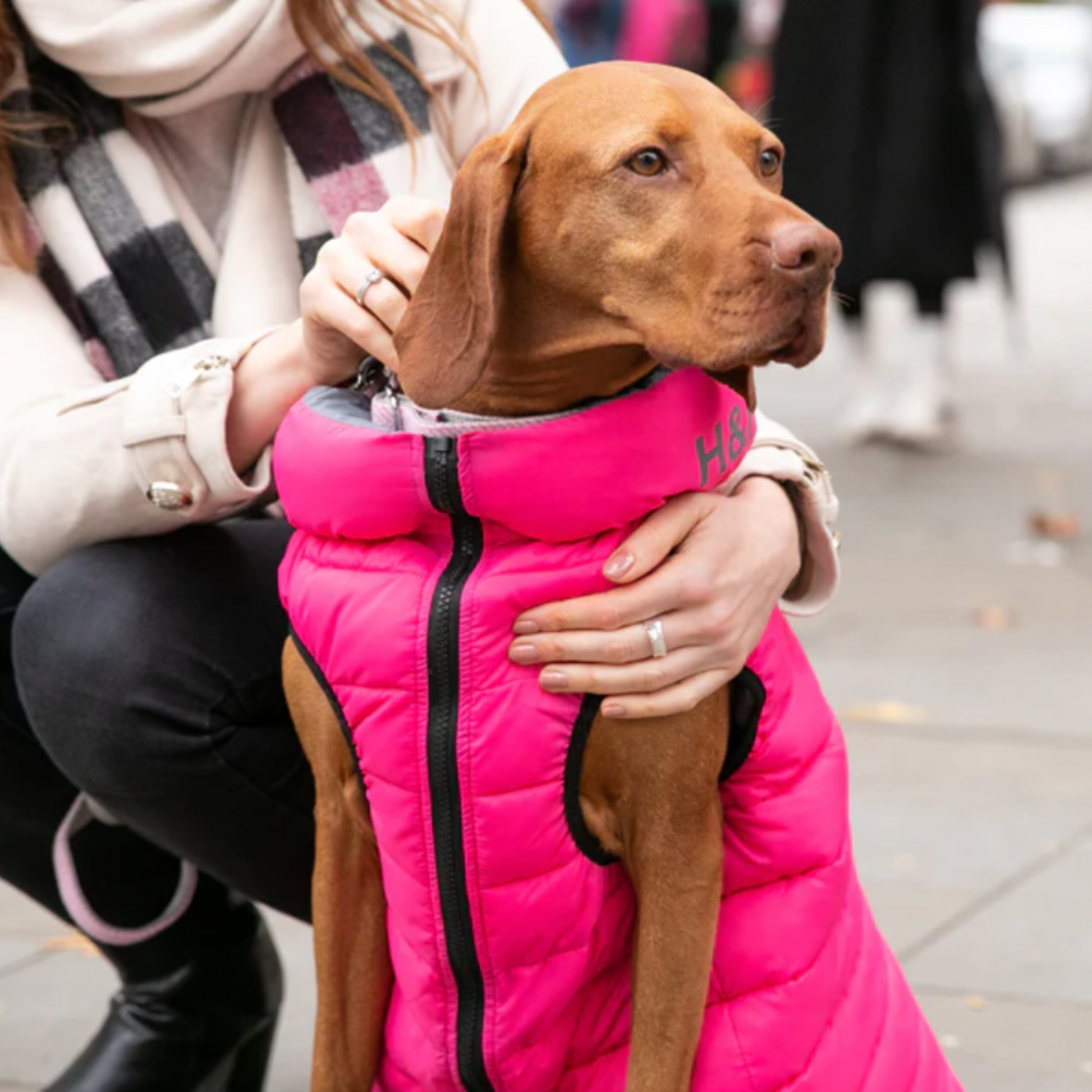 Pink dog puffer deals jacket
