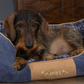 Scruffs Highland Box Dog Bed Fully Machine Washable Blue Small, Medium, Large