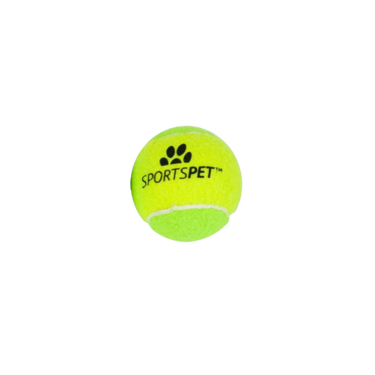 Sportspet Squeaky Tennis Balls