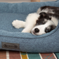 Scruffs Manhattan Box Dog Bed Fully Machine Washable Denim Blue Small & Medium