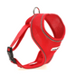 Doodlebone Originals Airmesh Bundle Set Dog Lead, Collar & Harness Ruby Red