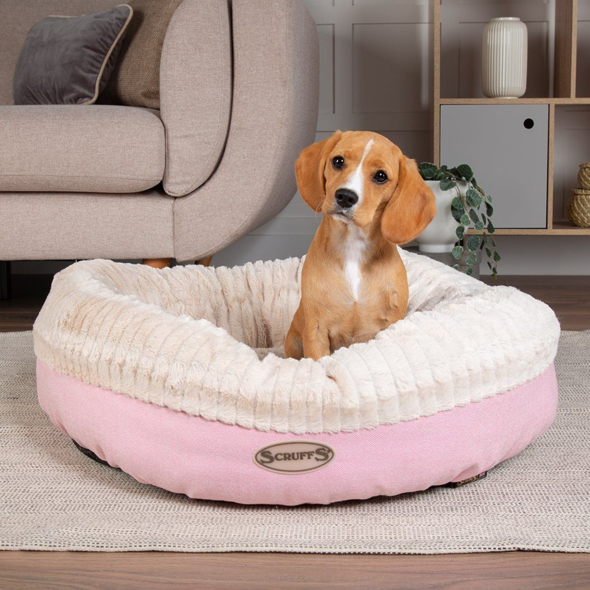 Pink donut dog bed best sale