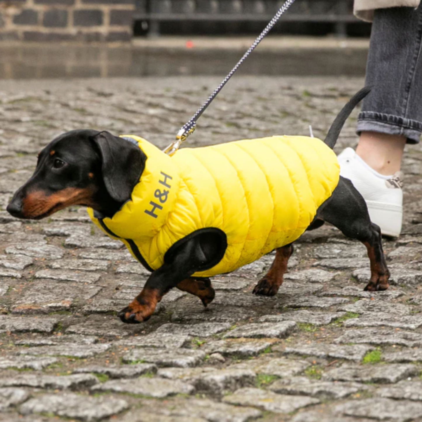 Hugo & Hudson Dog Puffer Jacket Reversible Yellow & Grey