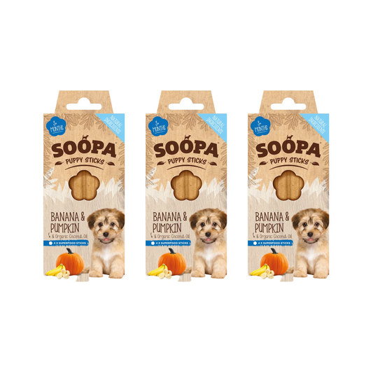 Soopa Banana & Pumpkin Puppy Dental Sticks 100g