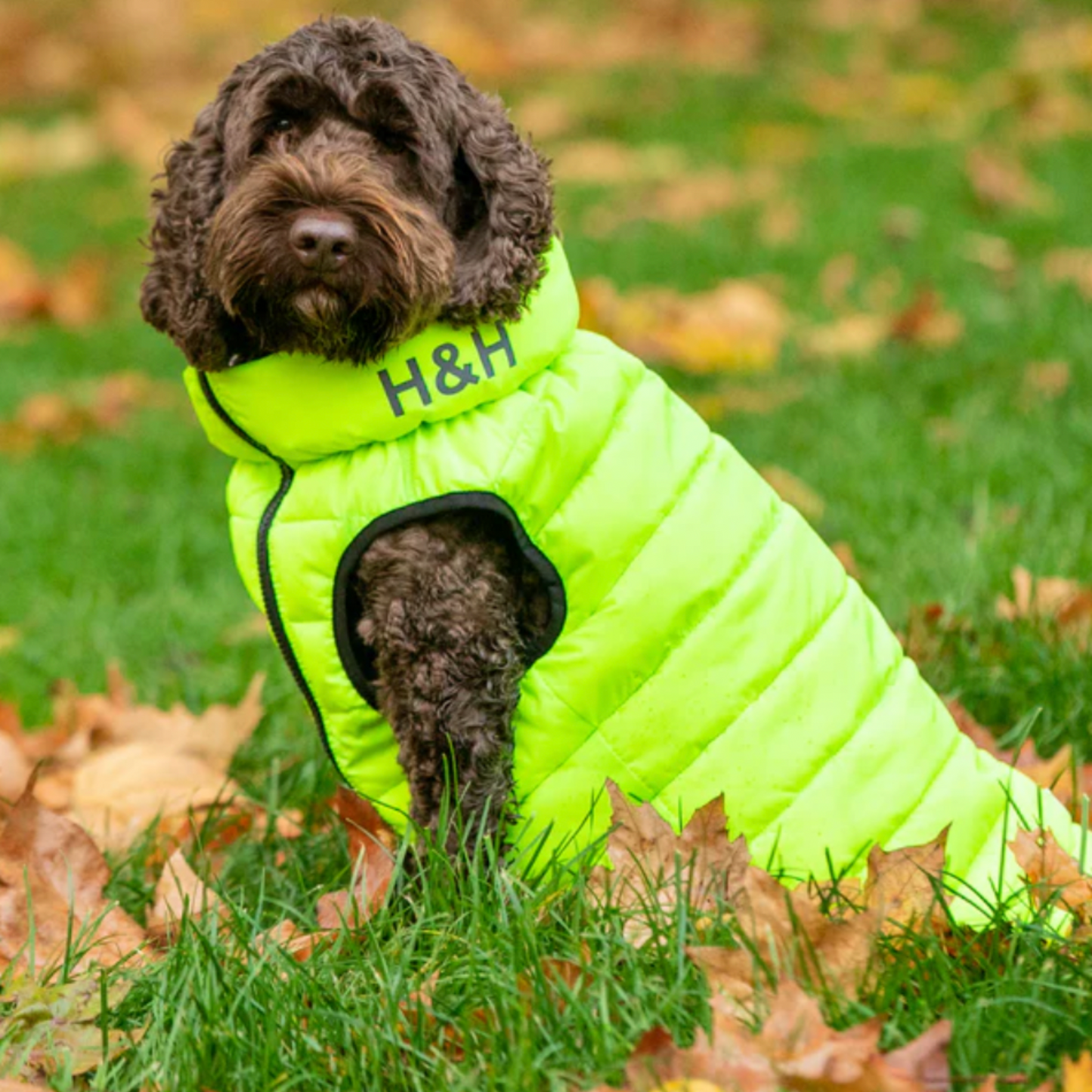 Hugo & Hudson Dog Puffer Jacket Reversible Green & Navy
