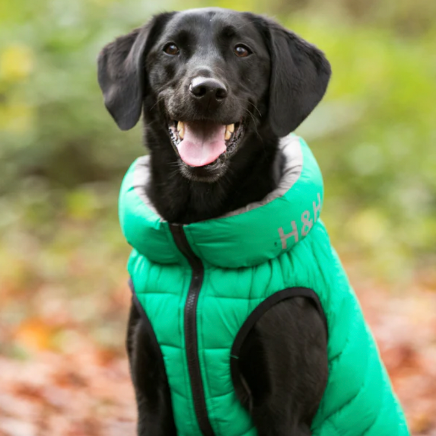 Hugo & Hudson Dog Puffer Jacket Reversible Dark Green & Grey