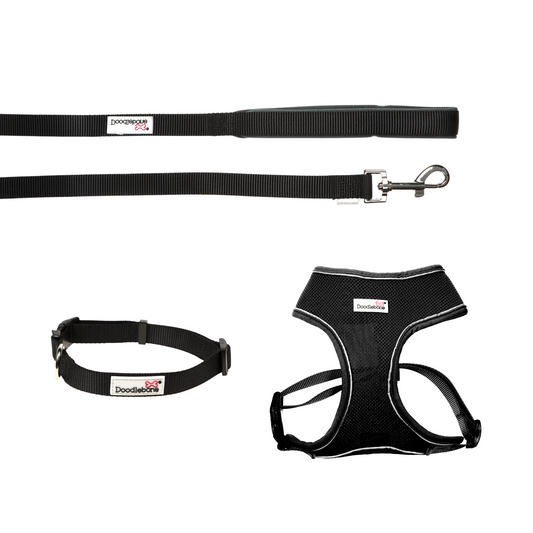 Doodlebone Originals Airmesh Bundle Set Dog Lead, Collar & Harness Coal Black