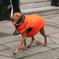 Hugo & Hudson Dog Puffer Jacket Reversible Orange & Navy