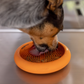 LickiMat UFO Slow Feeder Food Bowl With Suction Cups