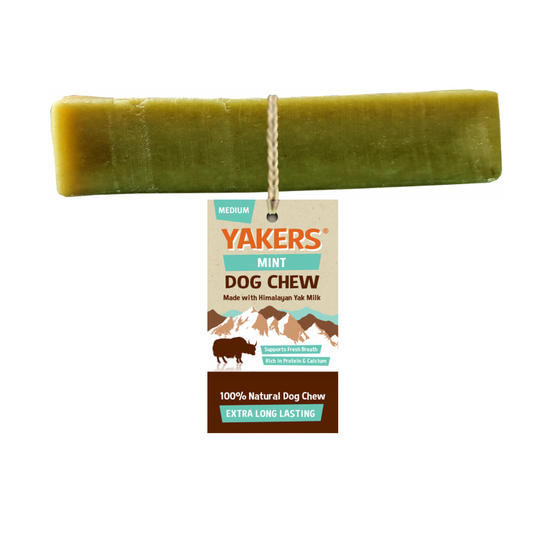 Yakers Mint Dog Chew Medium 70g