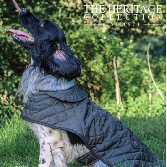 Ancol Heritage Quilted Blanket Dog Raincoat Multiple Sizes