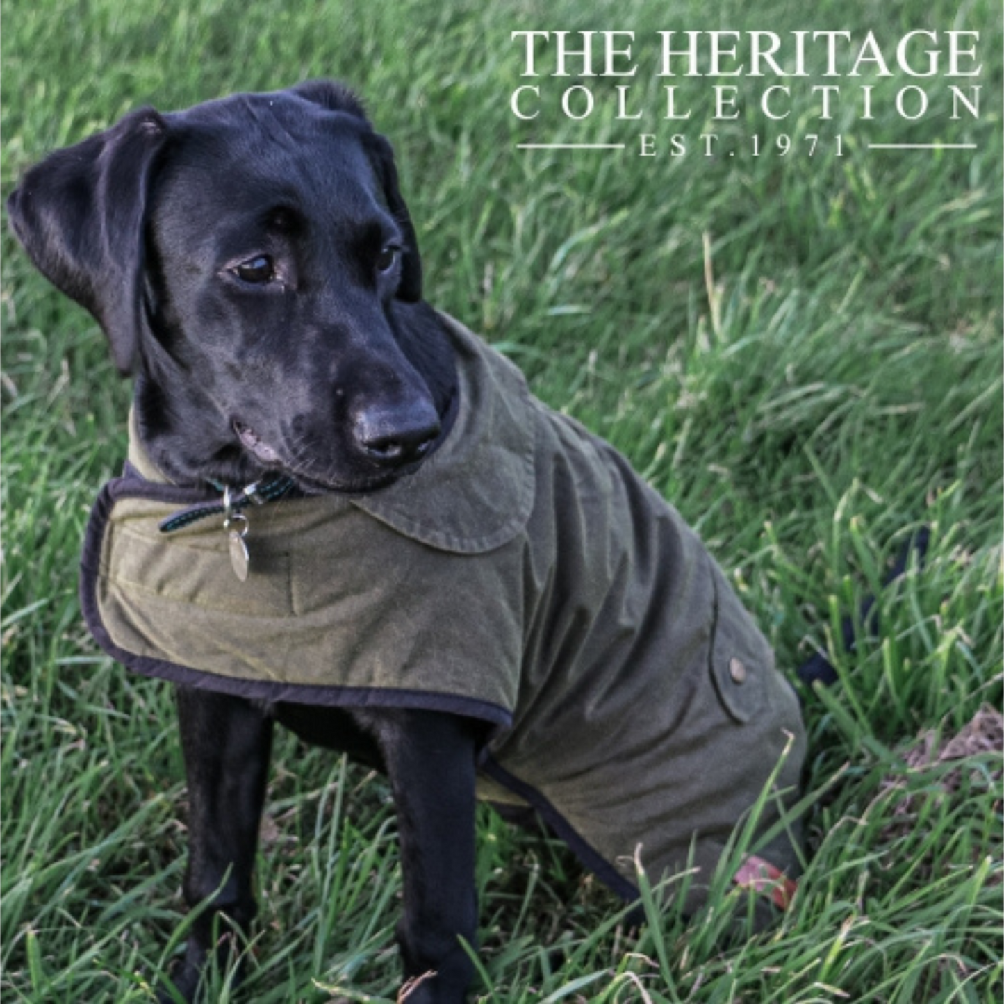 Ancol Heritage Green Wax Dog Raincoat Multiple Sizes